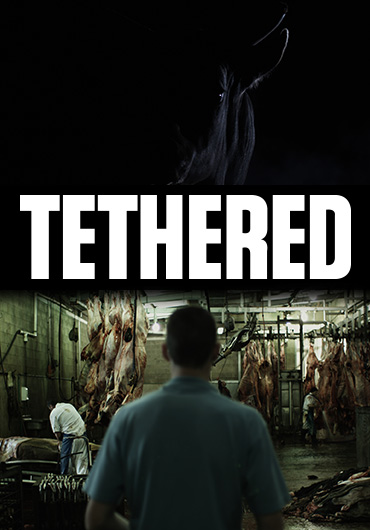 Poster Tethered Banner2